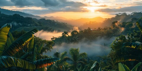 breathtaking view of the lush green rainforest in Costa Rica