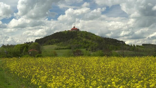 Die Veste Wachsenburg in Thüringen mit Rapsfeld