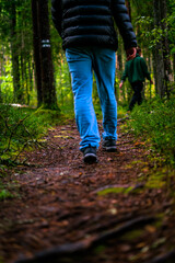 Exploring the Enigmatic Beauty of Viru Bog Trail: A Nature Reserve Adventure in Estonia's Lahemaa National Park