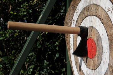 Axe in throwing target