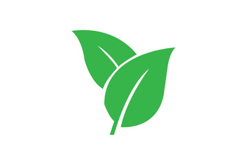 Leaf icon