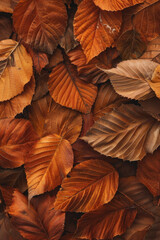 The textured surface of fallen autumn leaves, showcasing their vibrant colors and delicate veins. Autumn leaf textures offer a seasonal and natural backdrop
