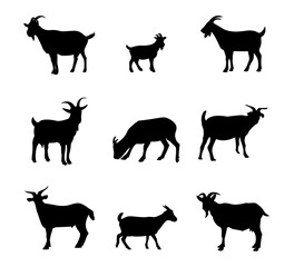 Silhouettes of goats. Goat silhouettes set. Vector illustration