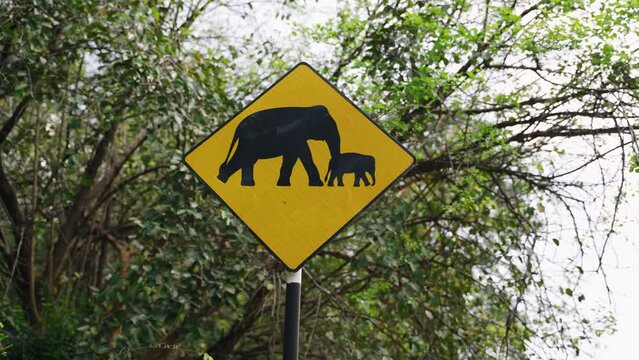 Yellow road sign warns of elephant crossing ahead in natural habitat. Signage flanked by trees, alerts drivers for potential wildlife encounters. Conservation, safety awareness in focus. Slow motion.
