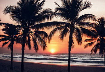 paradise trees sunset banner palm Travel Beach
