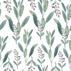 Sage plant seamless pattern isolated on white. Hand painted in watercolor. High quality herb with purple flowers art for packages of an essential oil, oil infusions, wallpaper, wrapping paper, textile