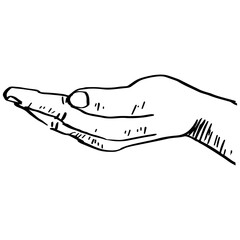 Hand gestures. Palm up. Outline silhouette.  Vector illustration.