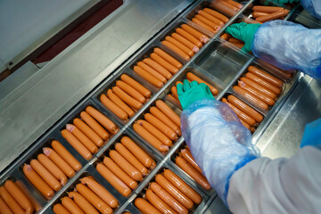 Production of meat sausages. Meat factory and industry.