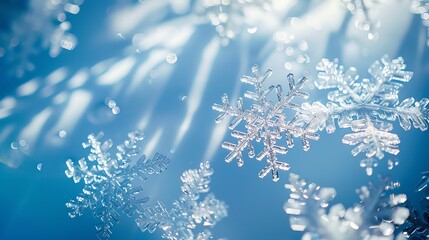 Artistic snowflake designs, cold blue tones, shadow play, eyelevel