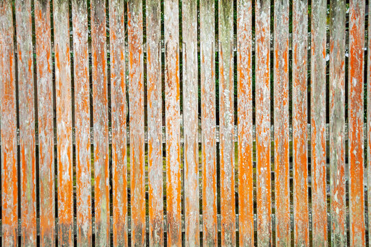 剥げる Images – Browse 299 Stock Photos, Vectors, and Video | Adobe Stock