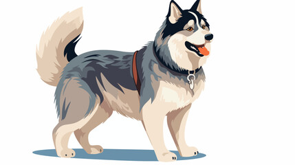 Husky dog flat vector illustration. Cute pet domest