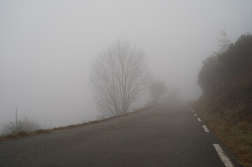 road in the mist