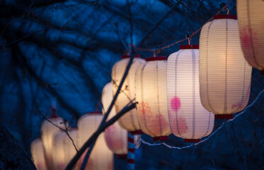 Lanterns in Sakura Festival at walkway Ooyokogawa river , Tokyo, Japan.