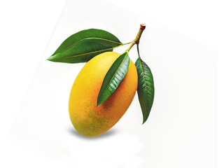 Delicious fresh organic mango fruits, isolated on transparent background, PNG format