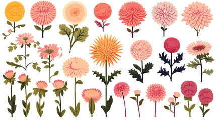 Japanese chrysanthemum set. Colorful collection wit - obrazy, fototapety, plakaty