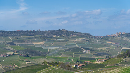 Fototapeta premium Amazing landscape of the vineyards of Langhe in Piemonte in Italy during spring time. The wine route. An Unesco World Heritage. Natural contest. Rows of vineyards
