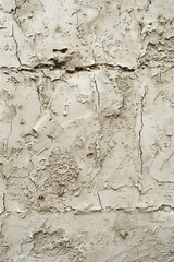 Obraz premium Textured surface of a stucco wall, featuring rough plaster and subtle variations in texture. Stucco wall textures offer a timeless and architectural backdrop