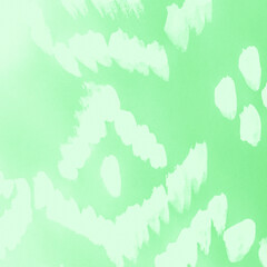 Delicate Ethnic Ikat Patterns. Retro Sari