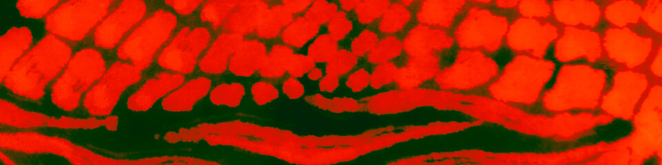 Dark Exotic Print. Tile Background. Abstract