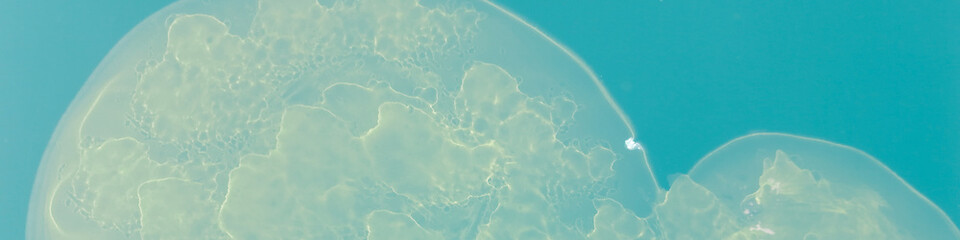Brochure Marble. Acrylic Paint Interior. Navy