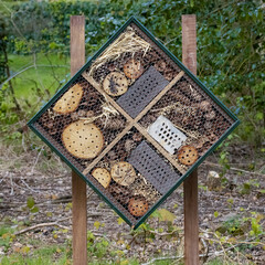 Insect hotel, also known as a bug hotel or insect house, is a manmade structure from wood created...