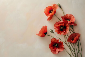 Red Poppies with neutral background