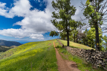 Trail in Lomo del Palo with a blue sky. Monte Pavon. Galdar. Gran Canaria. Canary islands