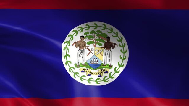 Belize flag fluttering in the wind. detailed fabric texture.