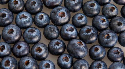 blueberries close up