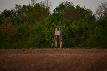Hunting watchtower in the forest