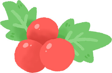 A simple illustration of red berries with green leaves.
