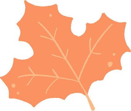 A simple illustration of a red maple leaf.