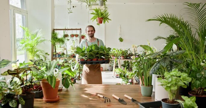 Floristry business and people concept. Young Caucasian man business owner holding many house plants smiling and looking at camera in a greenhouse. Gardener working in flower shop, plant store