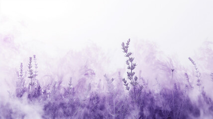 Misty lavender field fades into a soft, ethereal white haze.