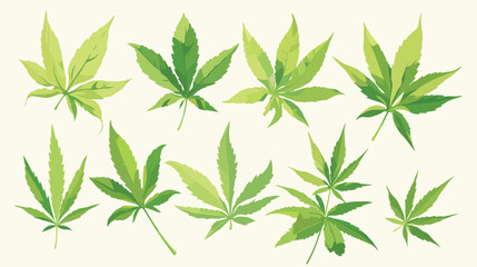 Marijuana plant with leaf. Realistic Hemp or Cannab