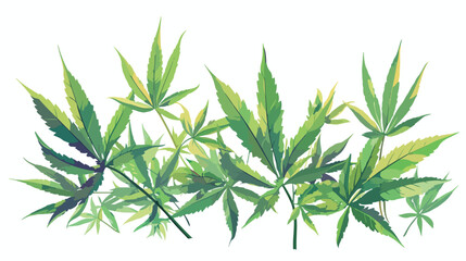 Marijuana plant with leaf. Realistic Hemp or Cannab