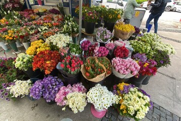 flowers on the street