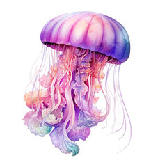 Watercolor Jellyfish, clipart Illustration, Generative Ai