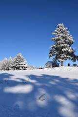 Blue skies in winter, Sainte-Apolline, Québec, Canada