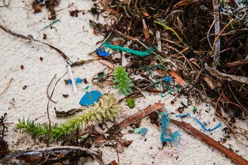 microplastic, seaweed on rottnest beach, rottnest island, western australia, perth