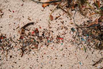 collected micro plastic from beach cleanup rottnest island western australia
