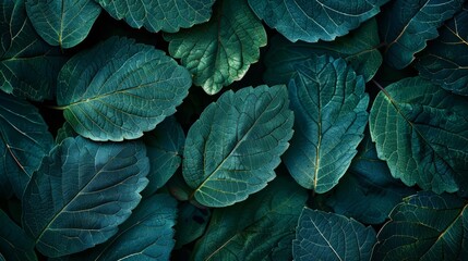 Each leaf and stem, a marvel of nature s design, plays a crucial role in the intricate web of life, supporting ecosystems and providing oxygen, background concept