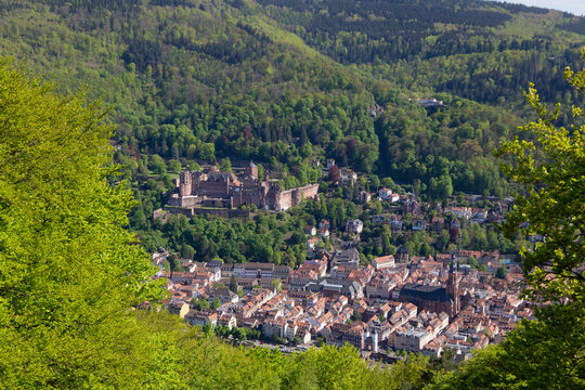 Blick auf das Heidelberger Schloss vom Heiligenberg auf der gegenüberliegenden Neckarseite