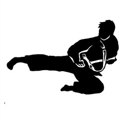 taekwondo kick vector