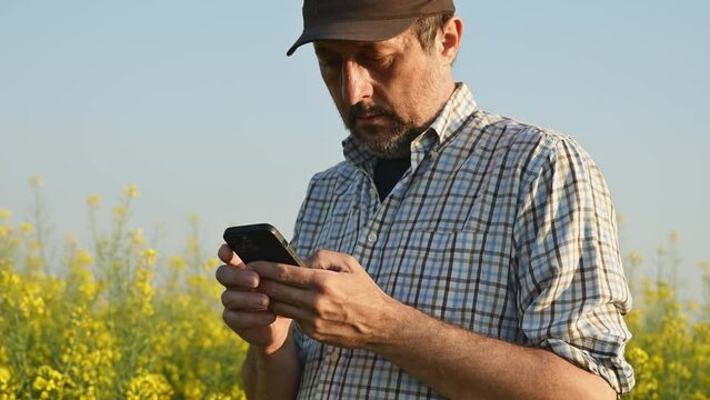 Farmer agronomist using smartphone in blooming rapeseed field