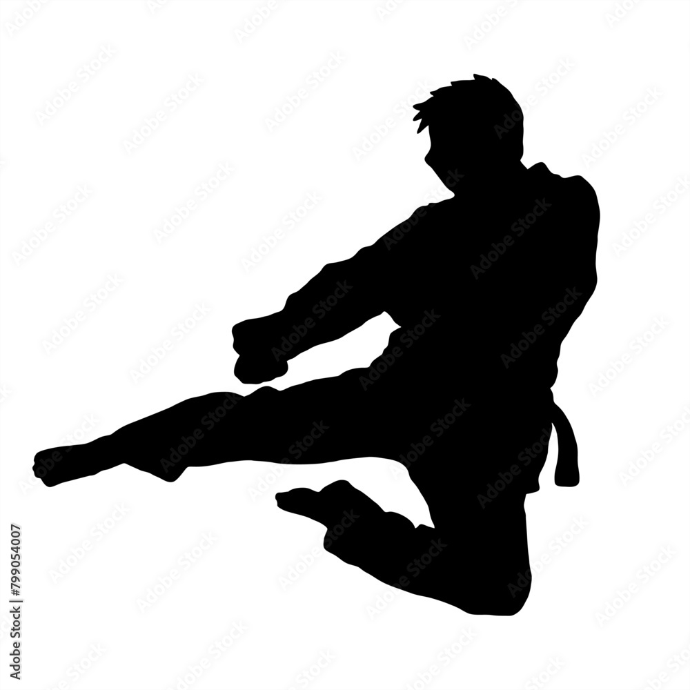 Wall mural taekwondo kick vector