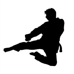 taekwondo kick vector