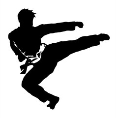 taekwondo kick vector