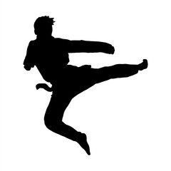 taekwondo kick vector