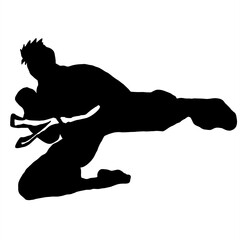 taekwondo kick vector